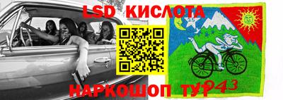 ПСИЛОЦИБИНОВЫЕ ГРИБЫ Коммунар