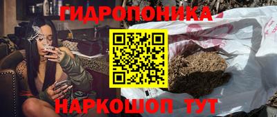 ПСИЛОЦИБИНОВЫЕ ГРИБЫ Коммунар