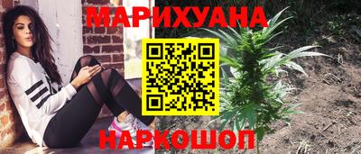 ПСИЛОЦИБИНОВЫЕ ГРИБЫ Коммунар