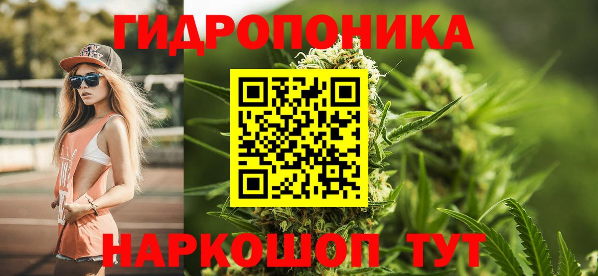 Канабис Amnesia Губкинский
